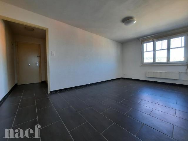 Apartment mieten in La Chaux-de-Fonds