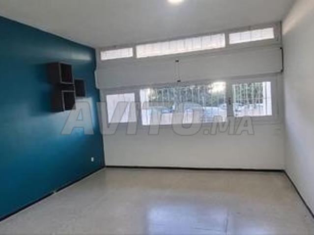 Appartement location