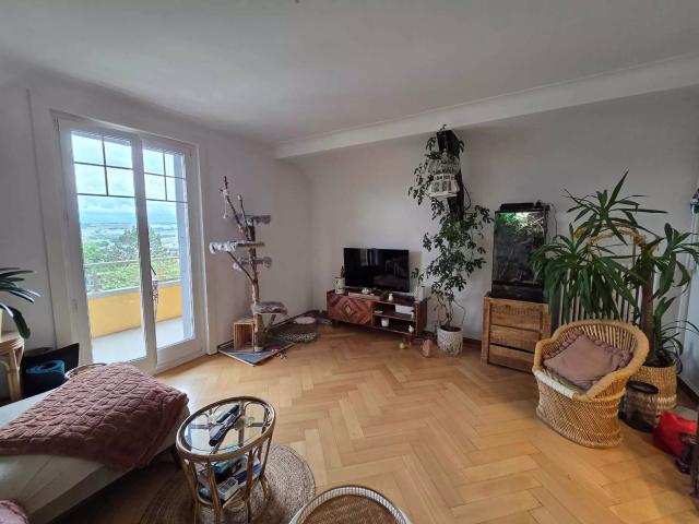 Apartment mieten in Orbe, Waadt