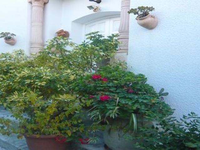 Appartement location