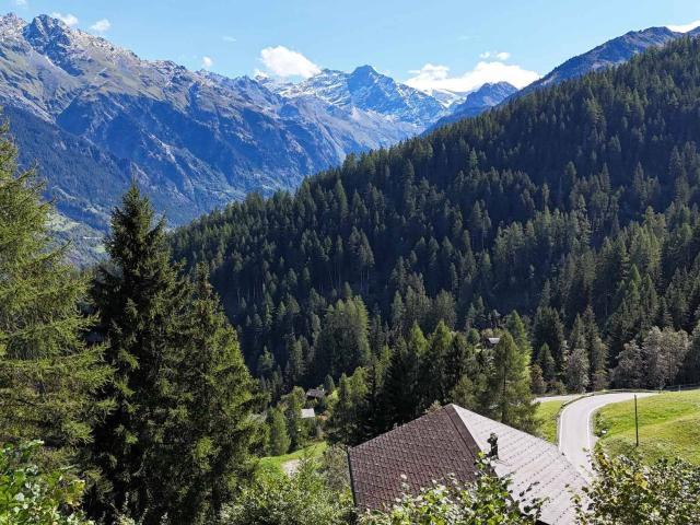 Haus kaufen in Bruson, Wallis