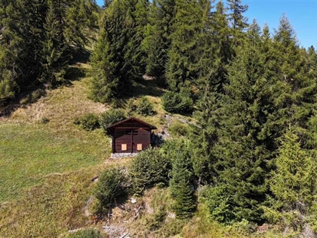 Haus kaufen in Bruson, Wallis