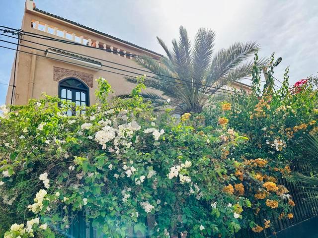 Propriété vente à Taroudant, Oued ed Dahab-Lagouira