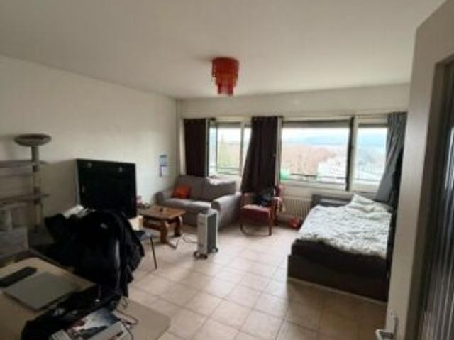Loft mieten in Versoix