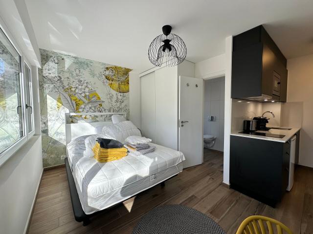 Apartment mieten in Les Mayens-de-Sion, Wallis