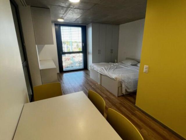 Loft mieten in Renens-Village, Renens