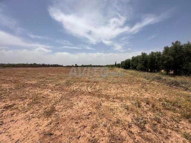 Propriété vente à Al Haouz, L'Oriental