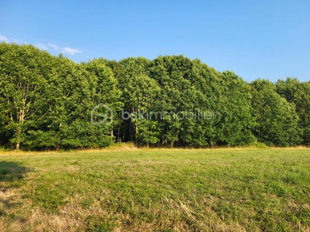 Terrain vente à Mont-de-Marsan, Aire-sur-l'adour