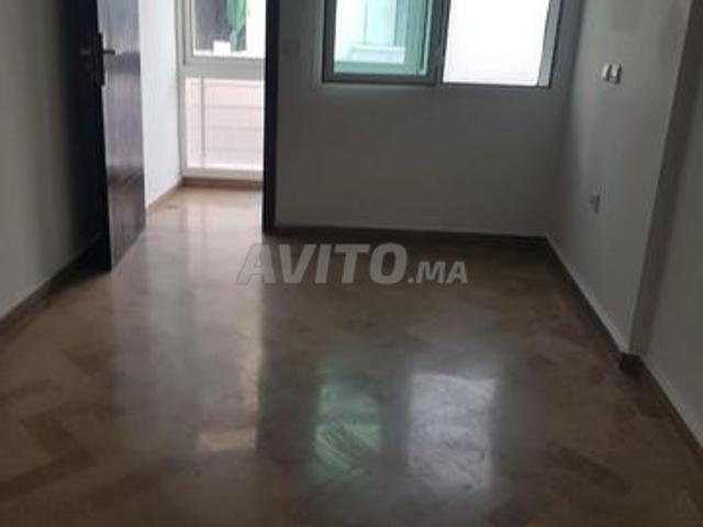 Appartement location