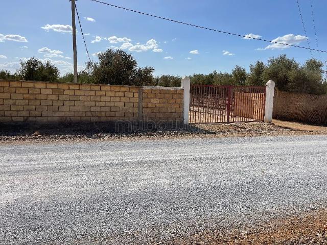 Ferme vente à Salé