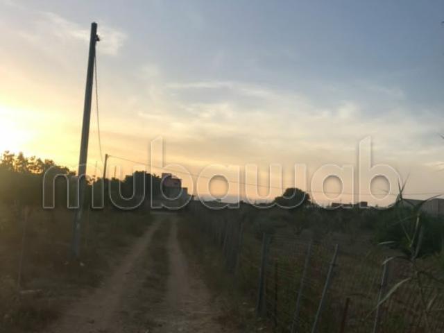 Ferme vente à Salé