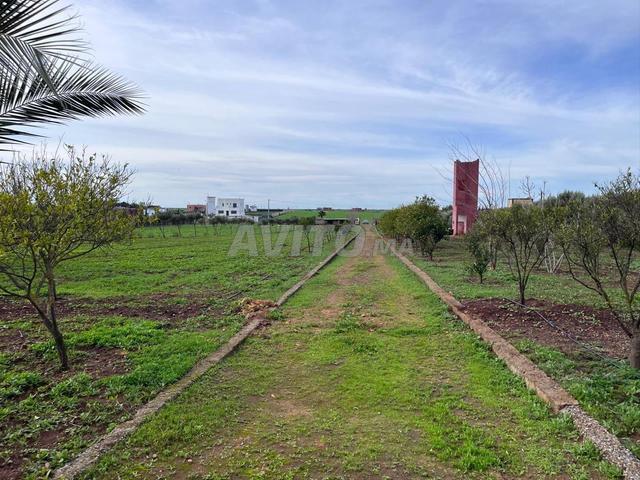 Propriété vente à Slimane, Gharb-Chrarda-Beni Hssen