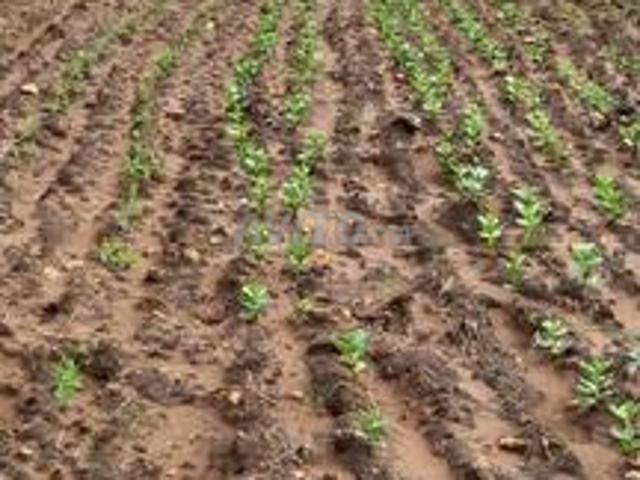 Propriété vente à El Ma, Gharb-Chrarda-Beni Hssen