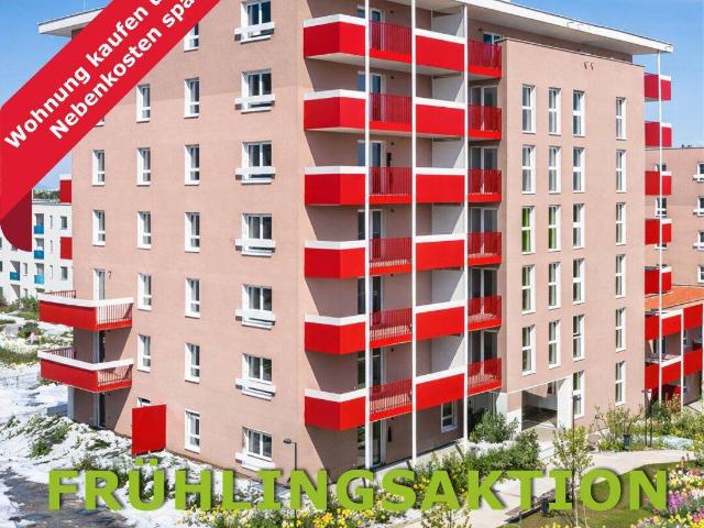 Apartment kaufen in Donaustadt, Wien