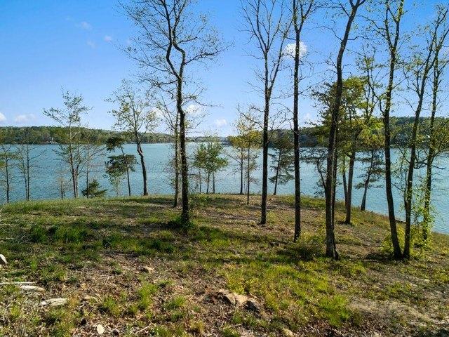 Land for sale in Arley, Alabama