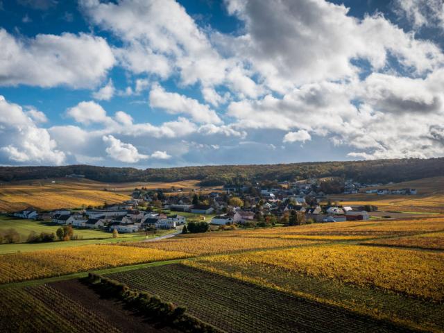 Terrain vente à Reims, Jonchery-sur-vesle