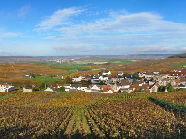 Terrain vente à Reims, Jonchery-sur-vesle