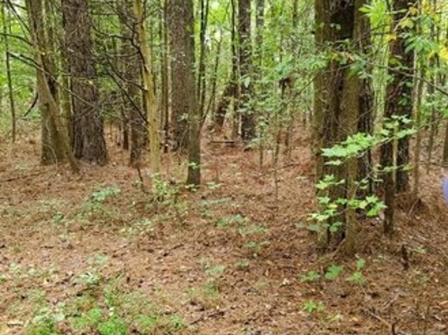 Land for sale in Tennessee