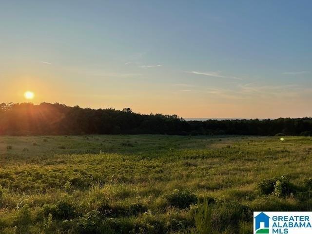 Land for sale in Springville, Alabama