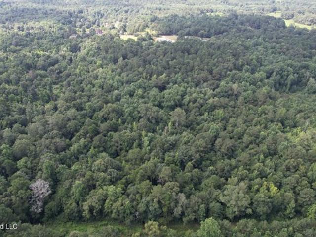 Land for sale in Collins, Mississippi
