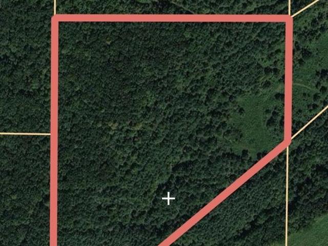 Land for sale in Springville, Alabama