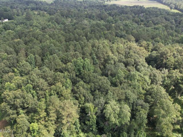 Land for sale in Collins, Mississippi