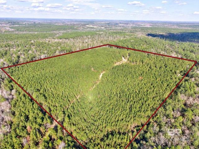 Land for sale in Bay Minette, Alabama
