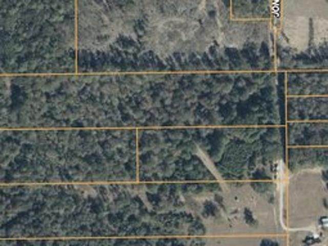 Land for sale in Pelahatchie, Mississippi
