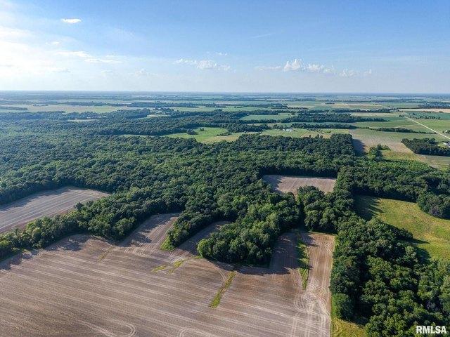 Land for sale in Alma, Illinois