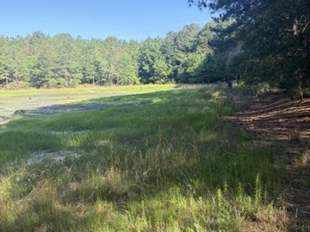 Land for sale in Ellerbe, North Carolina