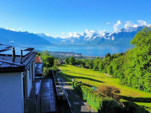 Attikawohnung kaufen in Jongny, Waadt