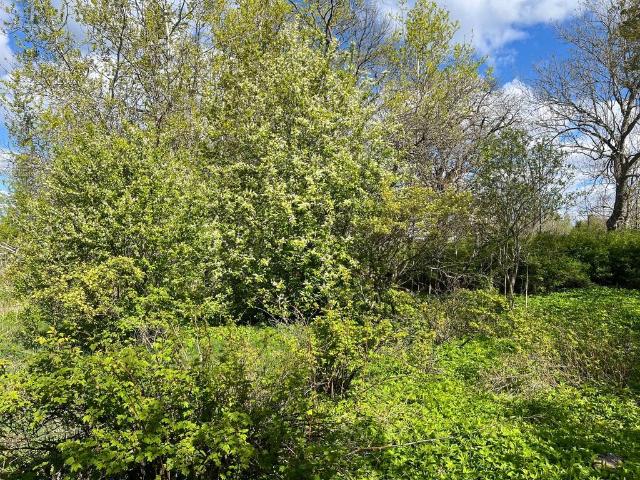 Bostad till salu i Tierp, Uppsala