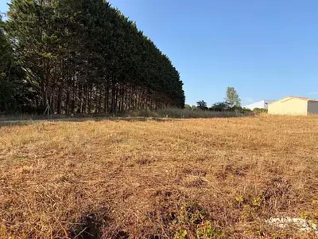 Terrain vente à Jonzac