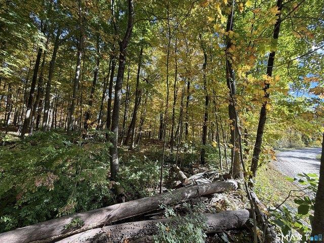 Land for sale in Connecticut