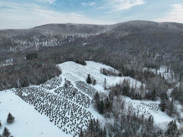 Land for sale in New Hampshire