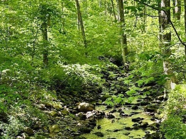 Land for sale in Newtown, Connecticut