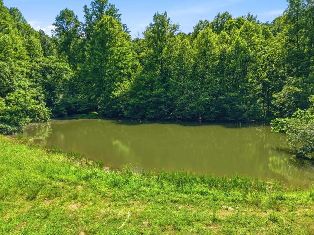 Land for sale in Virginia