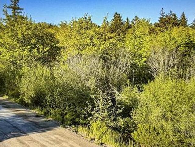Land for sale in Jordantown, Nova Scotia