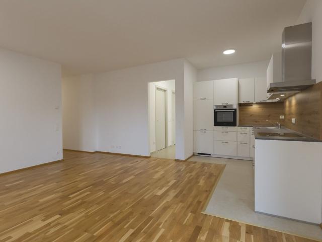 Wohnung kaufen in Eisenstadt, Burgenland