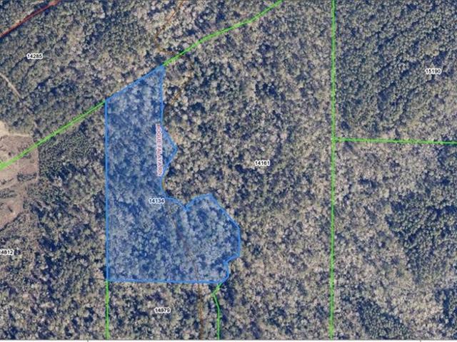 Land for sale in Lane County, Kansas