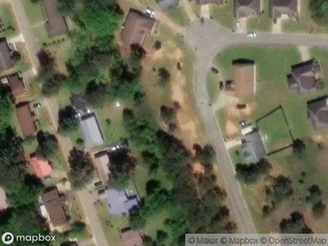Land for sale in Hawkinsville, Georgia