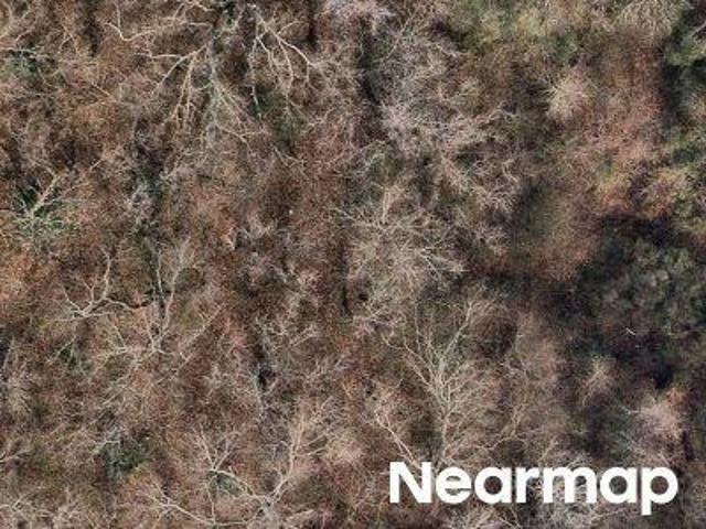 Property for sale in Moncks Corner, Berkeley County