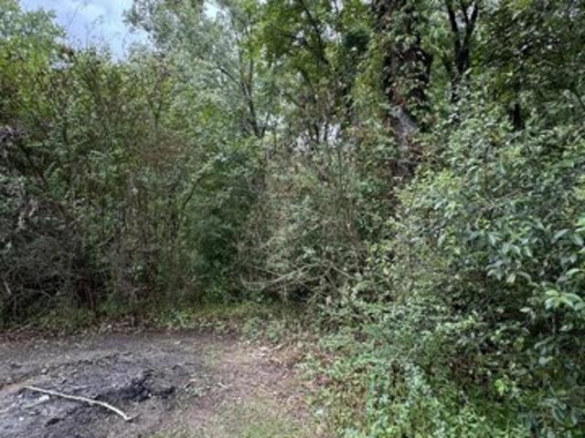 Land for sale in Moncks Corner Land for sale in Moncks Corner