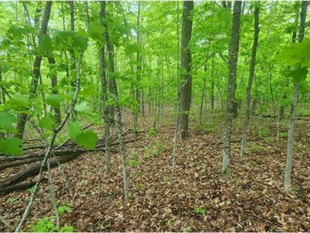 Land for sale in Garrison, Minnesota