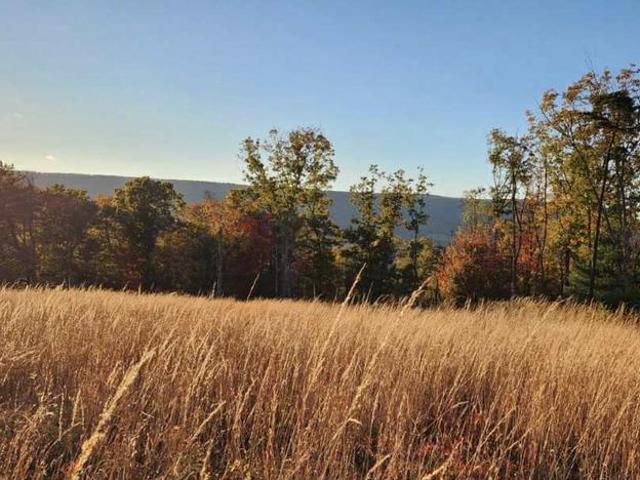 Land for sale in West Virginia