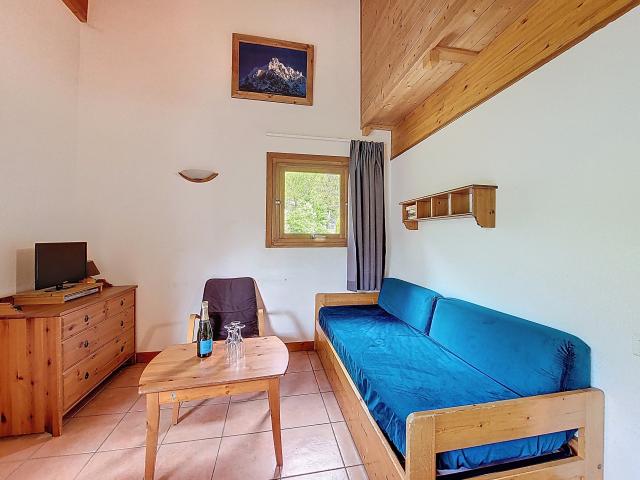 Appartement location à Thonon-les-Bains, Morzine
