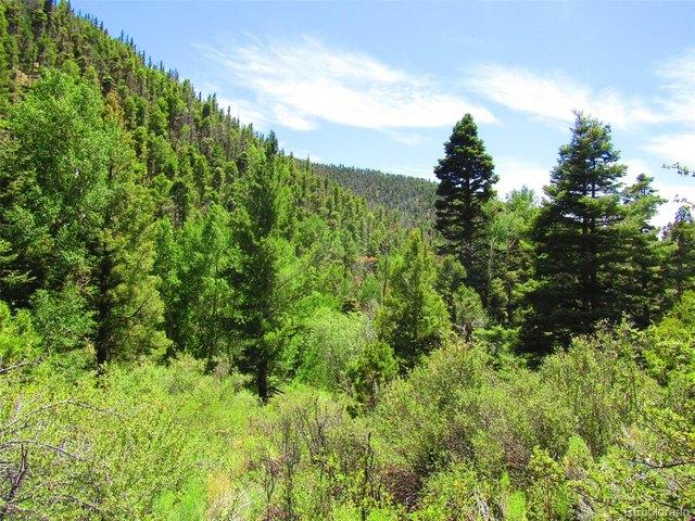Land for sale in Fort Garland, Colorado