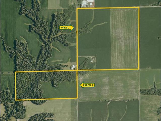 Farm for sale in Joy, Illinois