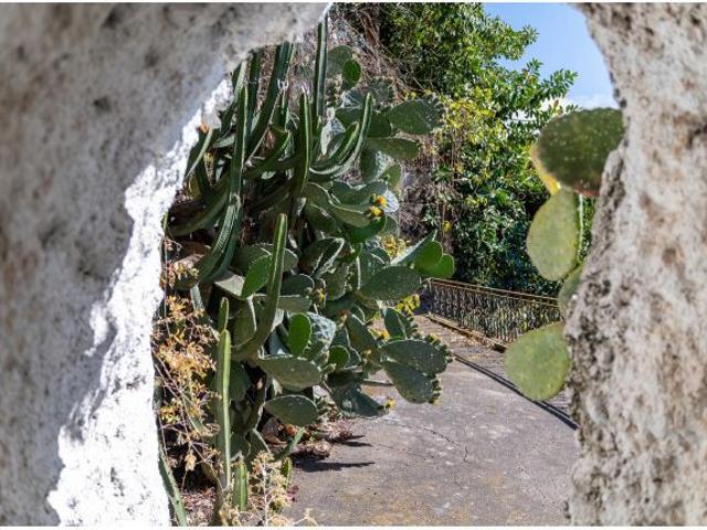 Casa en venta en Las Cuevas, La orotava