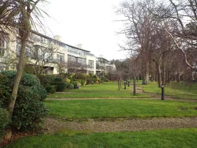 Apartment to rent